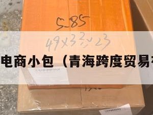 青海跨境电商小包（青海跨度贸易有限公司）