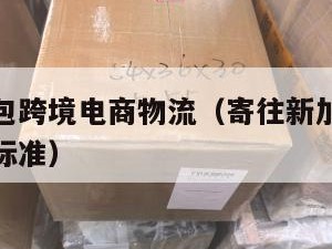 新加坡小包跨境电商物流（寄往新加坡的国际小包资费标准）