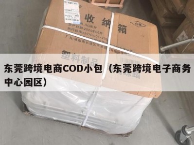 东莞跨境电商COD小包（东莞跨境电子商务中心园区）