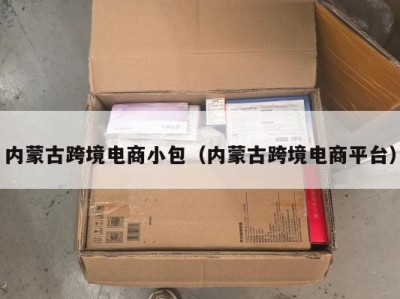 内蒙古跨境电商小包（内蒙古跨境电商平台）