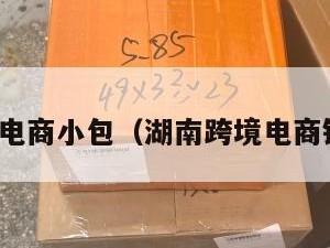 湖南跨境电商小包（湖南跨境电商销售平台）