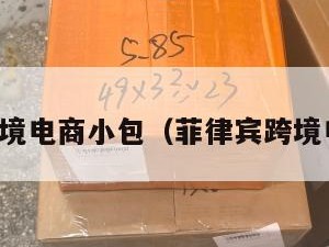 菲律宾跨境电商小包（菲律宾跨境电子商务）