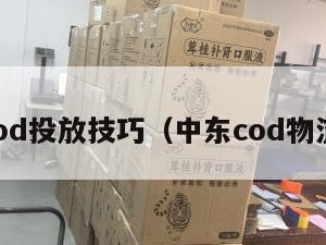 中东cod投放技巧（中东cod物流公司）