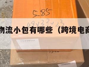 跨境电商物流小包有哪些（跨境电商物流小包专线）
