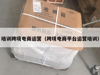 培训跨境电商运营（跨境电商平台运营培训）