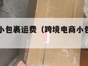 跨境电商小包裹运费（跨境电商小包裹运费怎么计算）