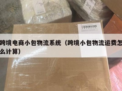 跨境电商小包物流系统（跨境小包物流运费怎么计算）