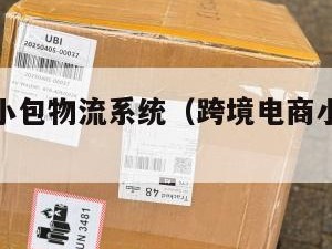 跨境电商小包物流系统（跨境电商小包发货货代）