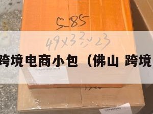 佛山跨境电商小包（佛山 跨境电商）
