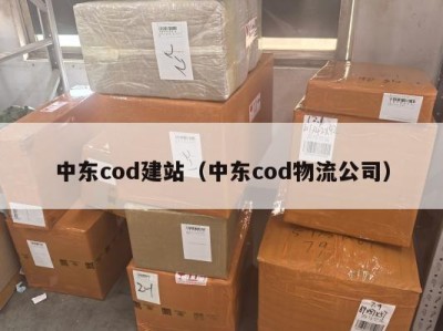 中东cod建站（中东cod物流公司）