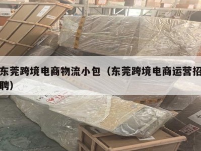 东莞跨境电商物流小包（东莞跨境电商运营招聘）