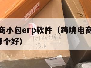 跨境电商小包erp软件（跨境电商小包erp软件哪个好）