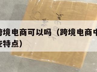 小包做跨境电商可以吗（跨境电商中,小包寄递有哪些特点）