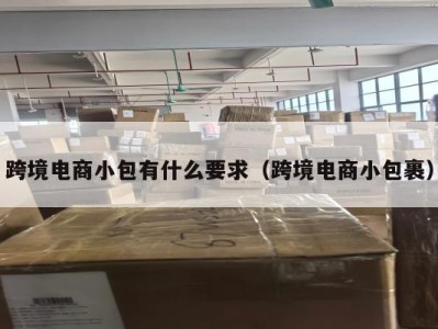 跨境电商小包有什么要求（跨境电商小包裹）