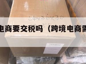 出口跨境电商要交税吗（跨境电商需要出口退税吗）