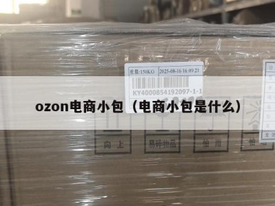 ozon电商小包（电商小包是什么）