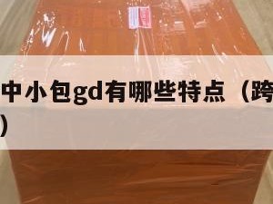 跨境电商中小包gd有哪些特点（跨境小包是什么意思）