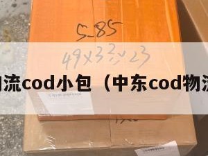 中东物流cod小包（中东cod物流公司）