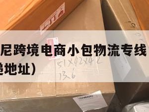 铁岭发印尼跨境电商小包物流专线（铁岭dhl国际快递地址）