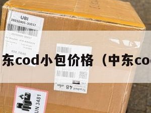 北京中东cod小包价格（中东cod物流）