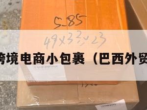 巴西跨境电商小包裹（巴西外贸平台）