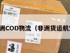 非洲COD物流（非洲货运航空）
