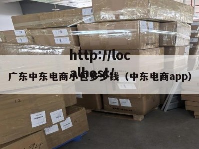 广东中东电商小包多少钱（中东电商app）