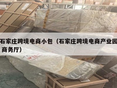 石家庄跨境电商小包（石家庄跨境电商产业园 商务厅）
