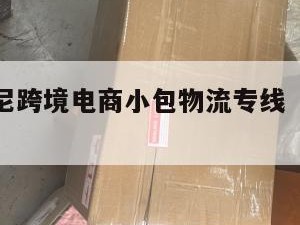 滁州发印尼跨境电商小包物流专线（滁州寄快递）