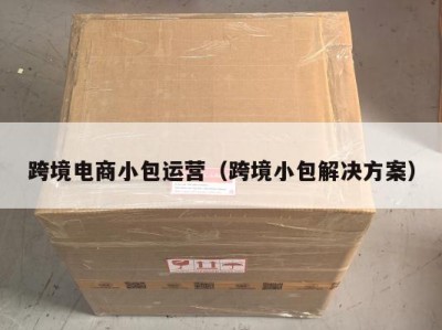 跨境电商小包运营（跨境小包解决方案）