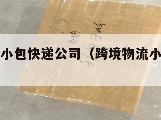 跨境电商小包快递公司（跨境物流小包是什么意思）