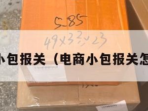 电商小包报关（电商小包报关怎么做）