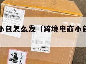 跨境电商小包怎么发（跨境电商小包寄递特点）