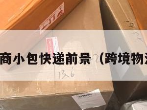 跨境电商小包快递前景（跨境物流小包）