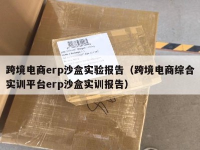跨境电商erp沙盒实验报告（跨境电商综合实训平台erp沙盒实训报告）