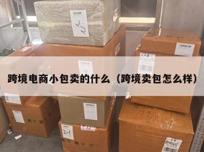 跨境电商小包卖的什么（跨境卖包怎么样）