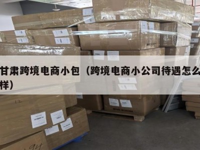 甘肃跨境电商小包（跨境电商小公司待遇怎么样）