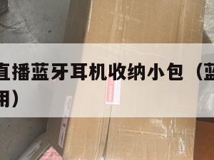 跨境电商直播蓝牙耳机收纳小包（蓝牙耳机收纳包怎么用）