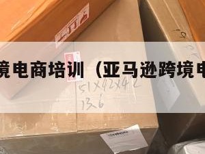 亚马逊跨境电商培训（亚马逊跨境电商培训资料）