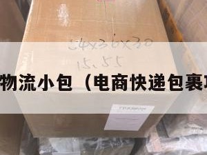 电商物流小包（电商快递包裹项目）