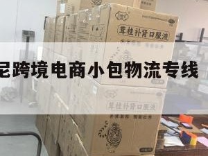 宁德发印尼跨境电商小包物流专线（宁德印尼华侨）