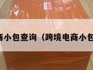 跨境电商小包查询（跨境电商小包裹通关）
