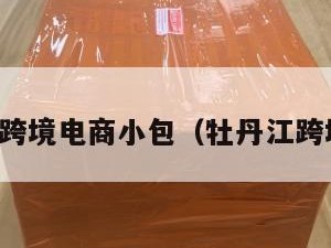 黑龙江跨境电商小包（牡丹江跨境电商）
