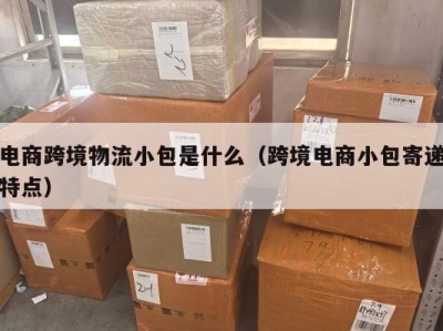 电商跨境物流小包是什么（跨境电商小包寄递特点）