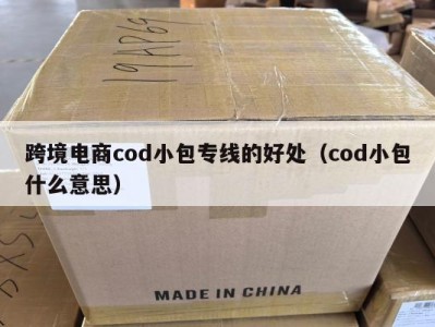 跨境电商cod小包专线的好处（cod小包什么意思）