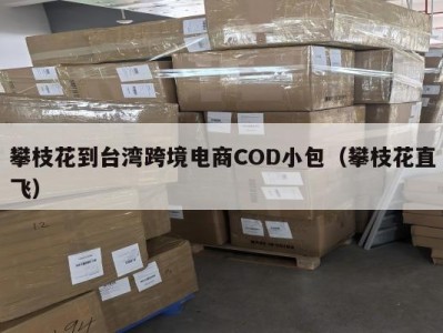 攀枝花到台湾跨境电商COD小包（攀枝花直飞）