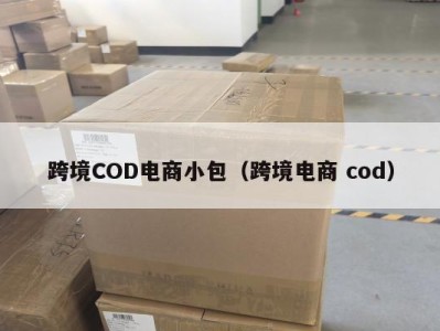 跨境COD电商小包（跨境电商 cod）