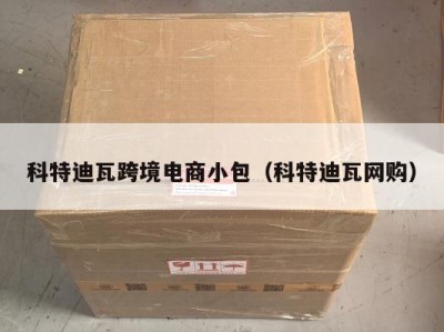 科特迪瓦跨境电商小包（科特迪瓦网购）