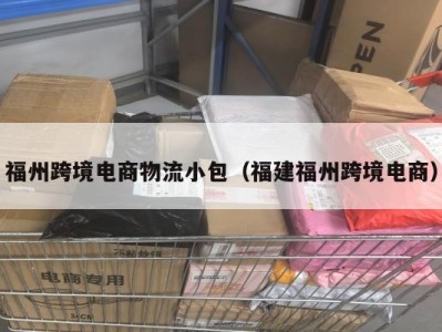 福州跨境电商物流小包（福建福州跨境电商）