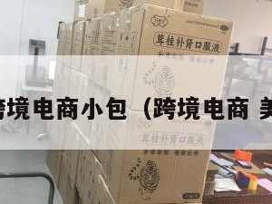 美区跨境电商小包（跨境电商 美国站）